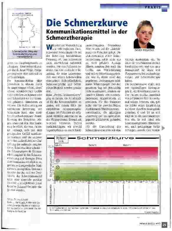 Vorschauseite 2: Was wissen wir über den Schmerz?