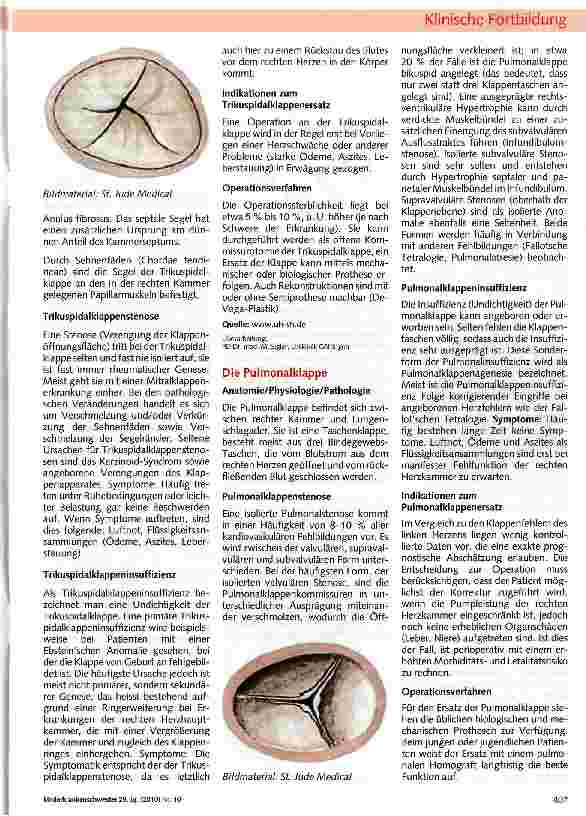 Vorschauseite 2: Die Herzklappen