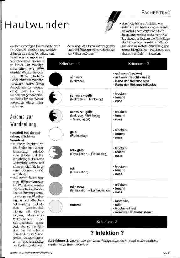 Vorschauseite 2: Lokaltherapeutische Standards für Hautwunden