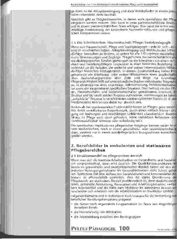 Vorschauseite 4: Zur Schnittstellenproblematik zwischen Pflege und Hauswirtschaft