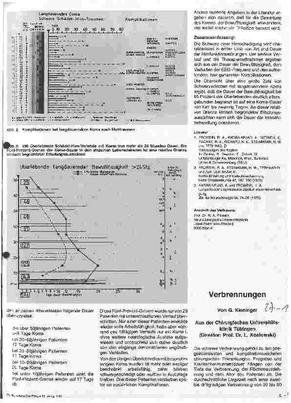 Vorschauseite 1: Verbrennungen