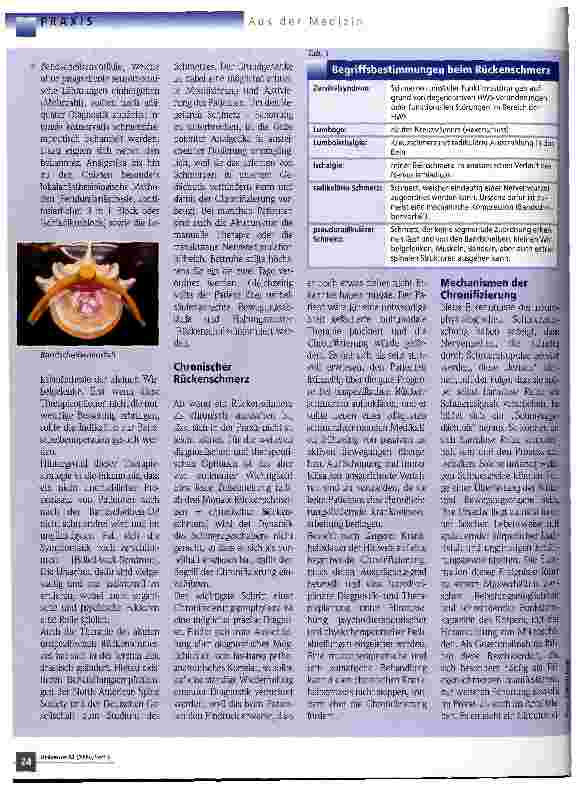 Vorschauseite 3: Rückenschmerzen