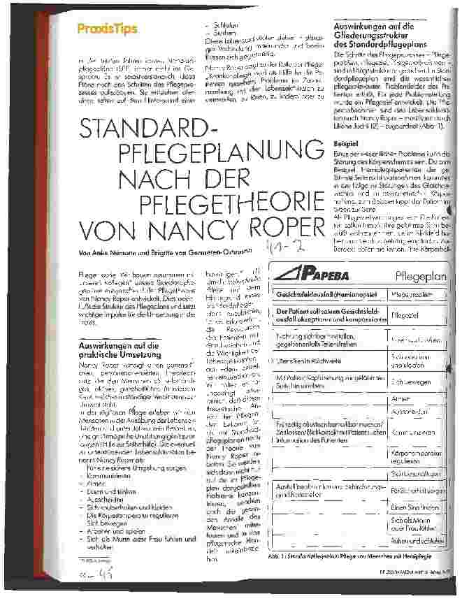 Vorschauseite 1: Standardpflegeplanung nach der Pflegetheorie von Nancy Roper