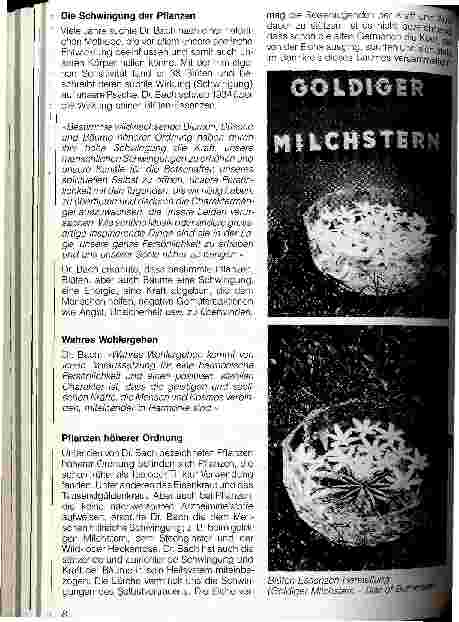 Vorschauseite 3: Die Bachblüten-Therapie