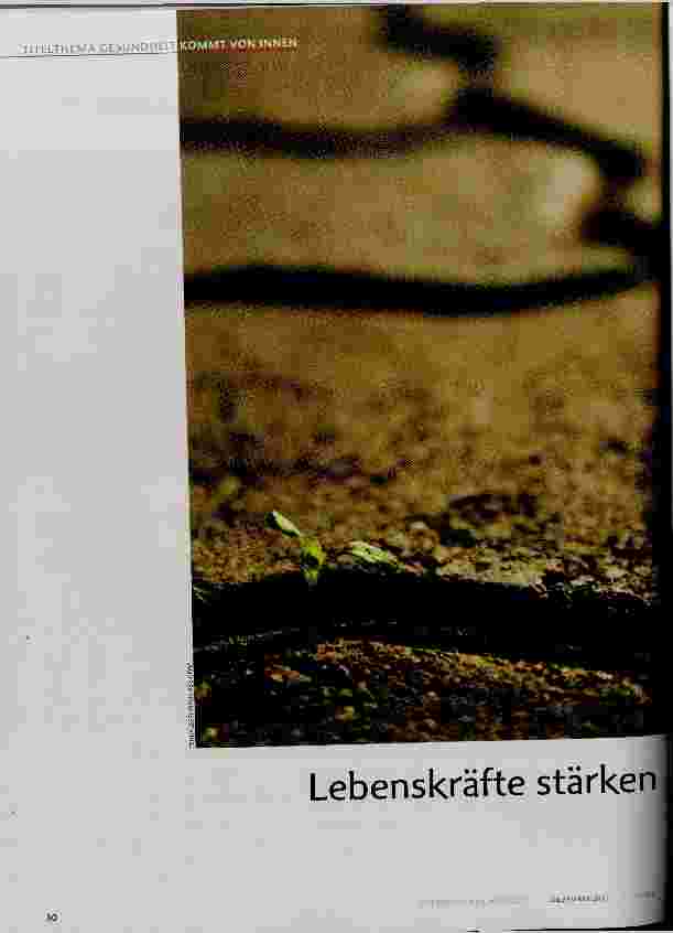 Vorschauseite 1: Lebenskräfte stärken