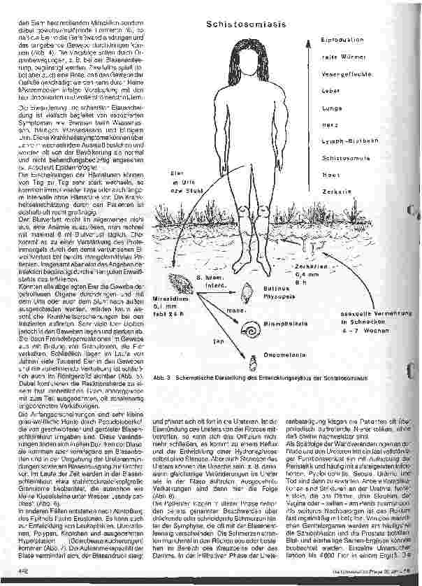 Vorschauseite 3: Wurminfektion - Schistosomiasis