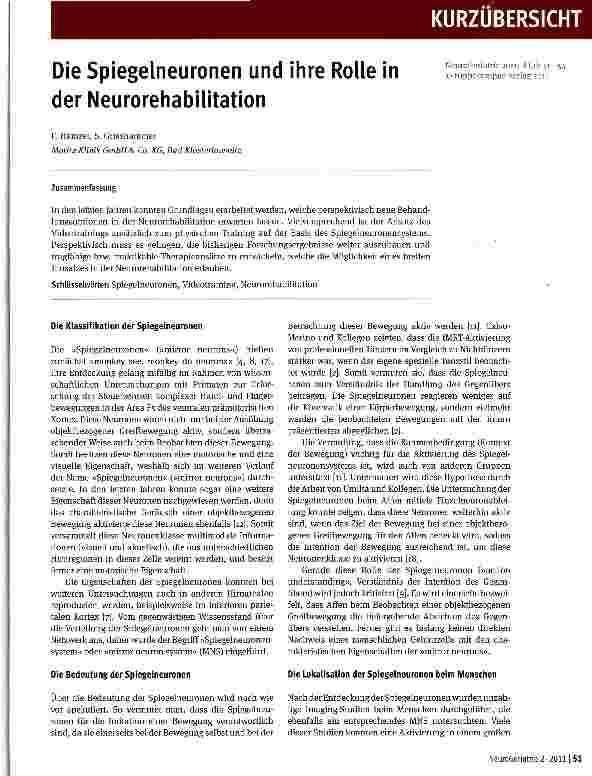 Vorschauseite 1: Die Spiegelneuronen und ihre Rolle in der Neurorehabilitation