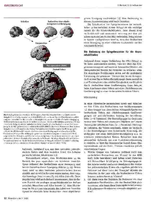Vorschauseite 2: Die Spiegelneuronen und ihre Rolle in der Neurorehabilitation
