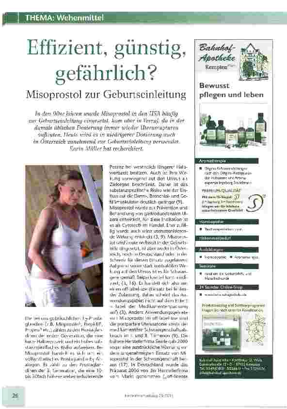 Vorschauseite 1: Effizient, günstig, gefährlich?