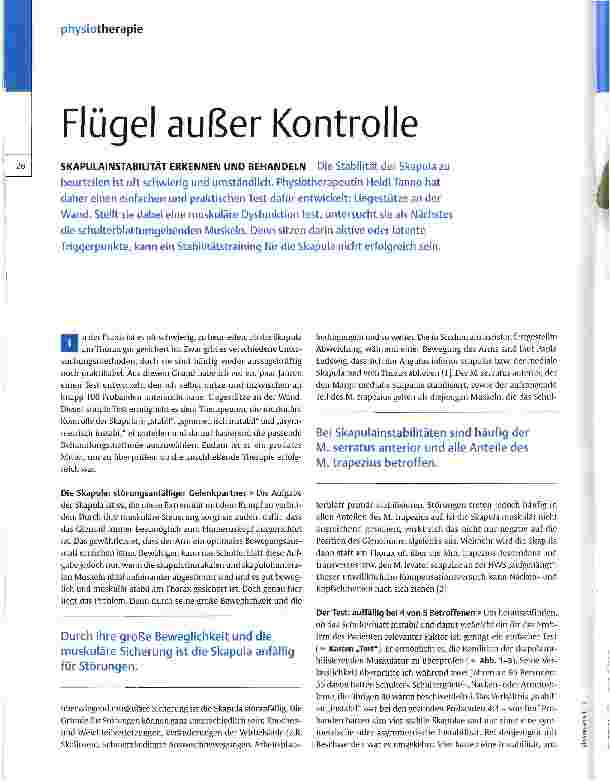 Vorschauseite 1: Flügel außer Kontrolle