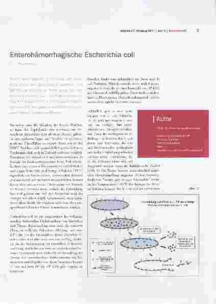 Vorschauseite 1: Enterohämorrhagische Escherichia coli