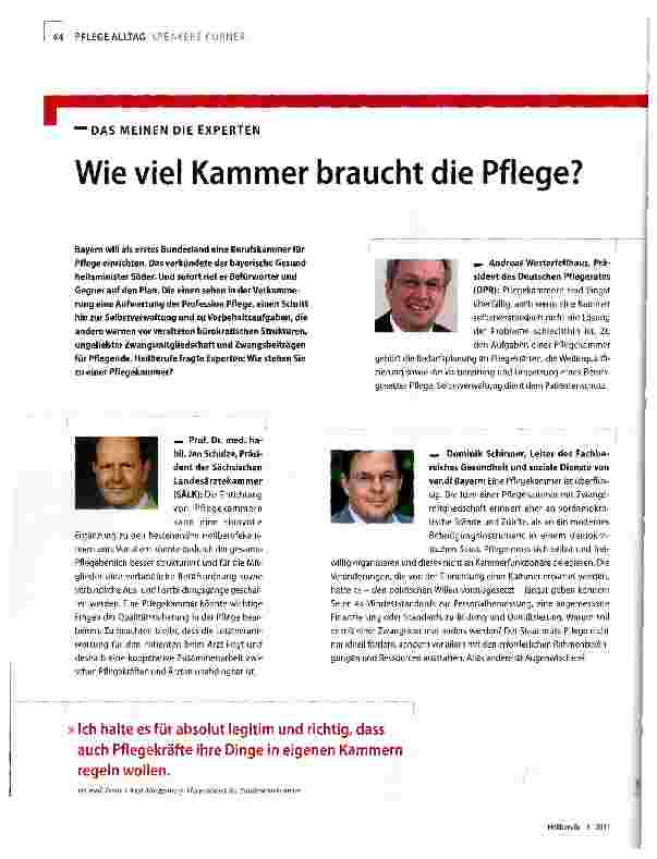 Vorschauseite 1: DAS MEINEN DIE EXPERTENWie viel Kammer braucht die Pflege?