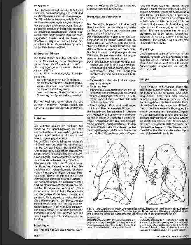 Vorschauseite 4: ATL-Atmen - 1. Folge: Anatomie und Physiologie des Atmungsund des Lymphsystems