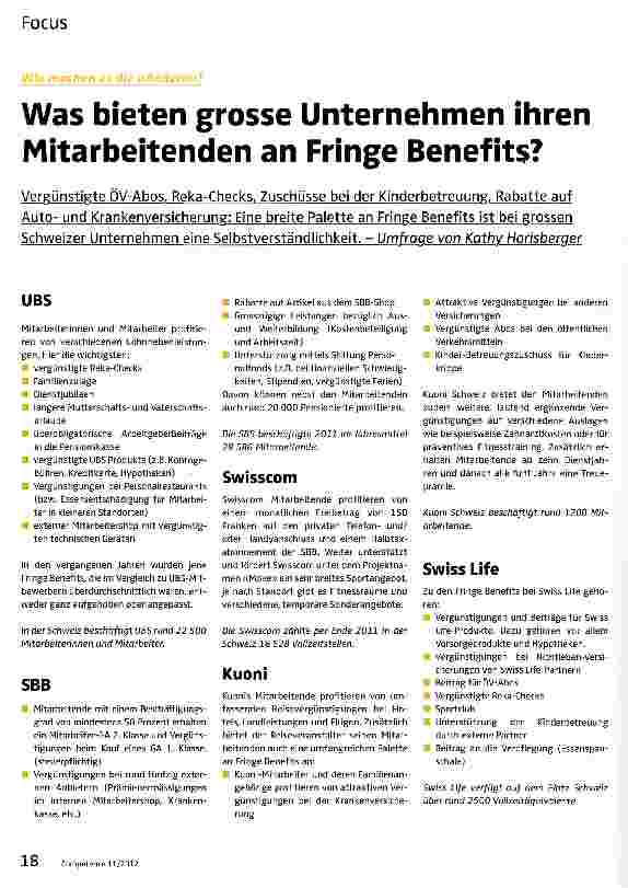 Vorschauseite 1: Was bieten grosse Unternehmen ihren Mitarbeitenden an Fringe Benefits?