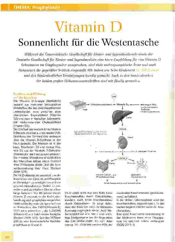 Vorschauseite 1: Vitamin D Sonnenlicht für die Westentasche