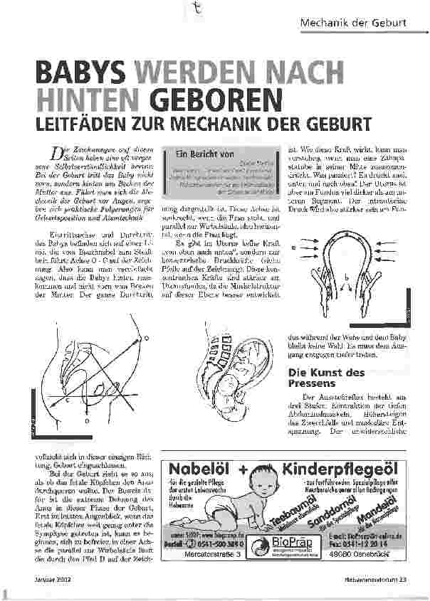 Vorschauseite 1: BABYS werden nach hinten geborenLEITFÄDEN ZUR MECHANIK DER GEBURT
