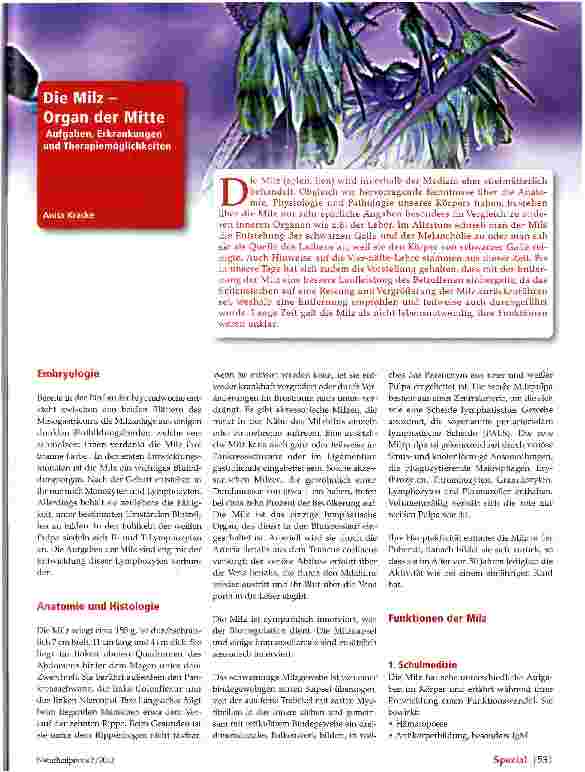 Vorschauseite 1: Die Milz -Organ der Mitte