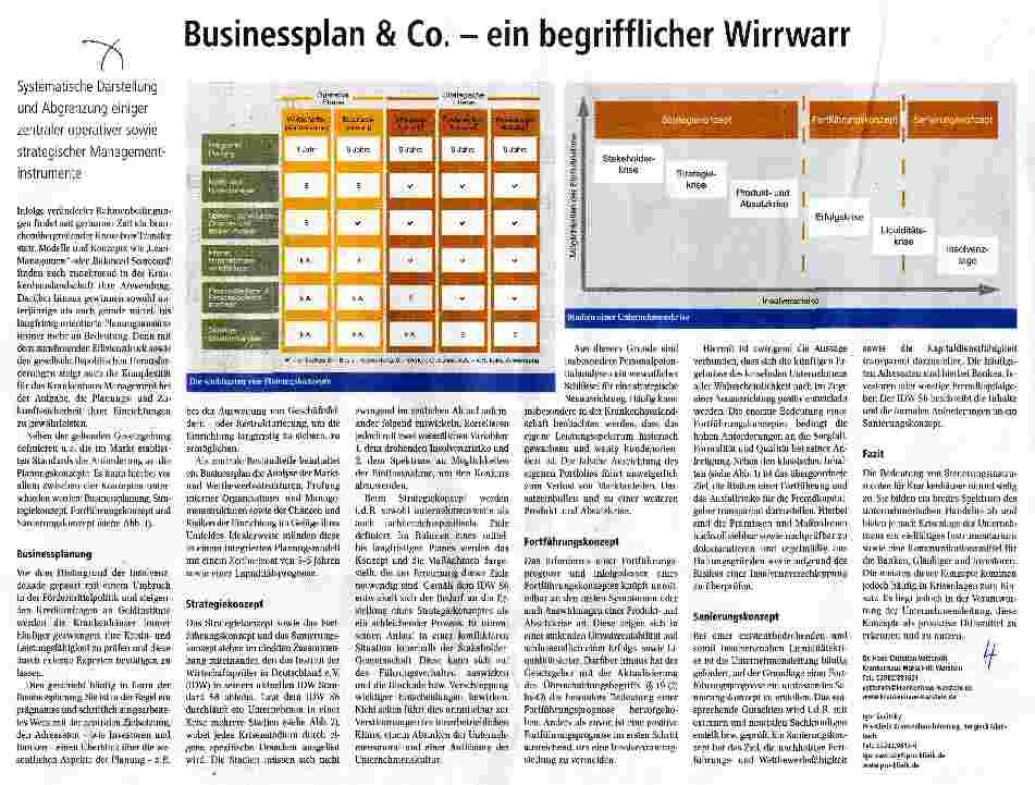 Vorschauseite 1: Businessplan & Co. - ein begrifflicher Wirrwarr