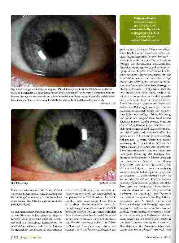 Vorschauseite 3: Irisdiagnose als Blick hinter die Kulissen