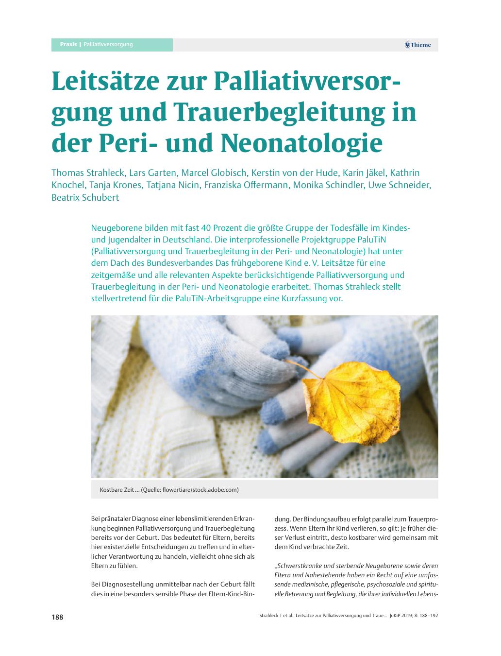 Vorschauseite 1: Leitsätze zur Palliativversorgung und Trauerbegleitung in der Periund Neonatologie