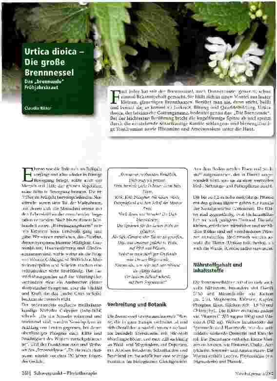 Vorschauseite 1: Urtica dioica Die große Brennnessel