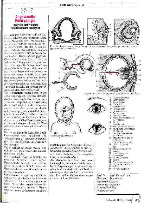 Vorschauseite 1: Angewandte Embryologie Entwicklung des Sehorgans