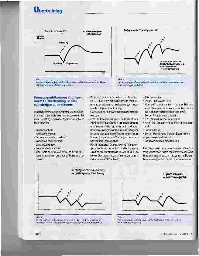 Vorschauseite 3: Übertraining
