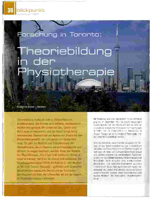 Vorschauseite 1: Theoriebildung in der Physiotherapie