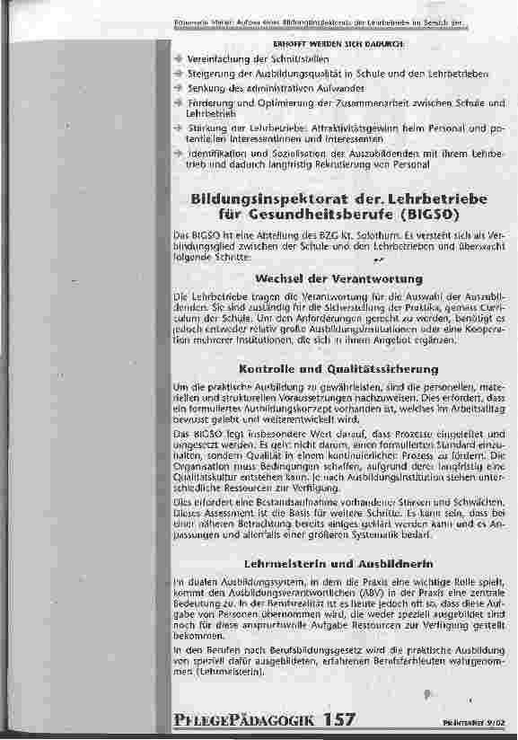 Vorschauseite 4: Aufbau eines Bildungsinspektorats der Lehrbetriebe im Bereich der Ausbildungen für Gesundheitsund Krankenpflege Teil 1