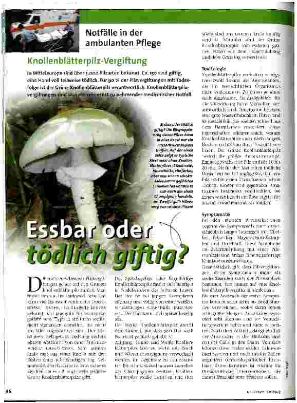 Vorschauseite 1: Essbar oder tödlich giftig?