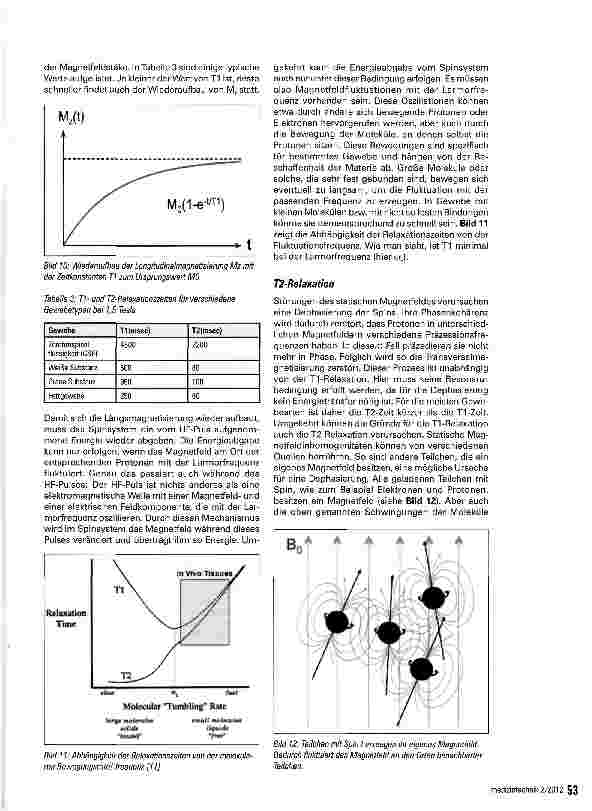 Vorschauseite 6: Die Magnetresonanztomographie - ein kleiner Überblick
