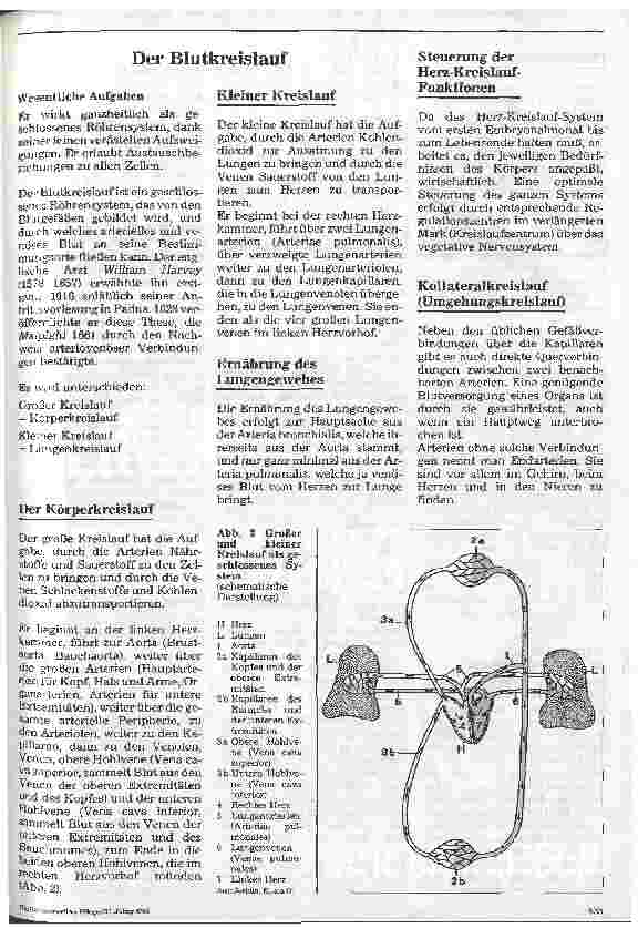 Vorschauseite 4: ATL Atmen 4. Folge: Der Blutkreislauf