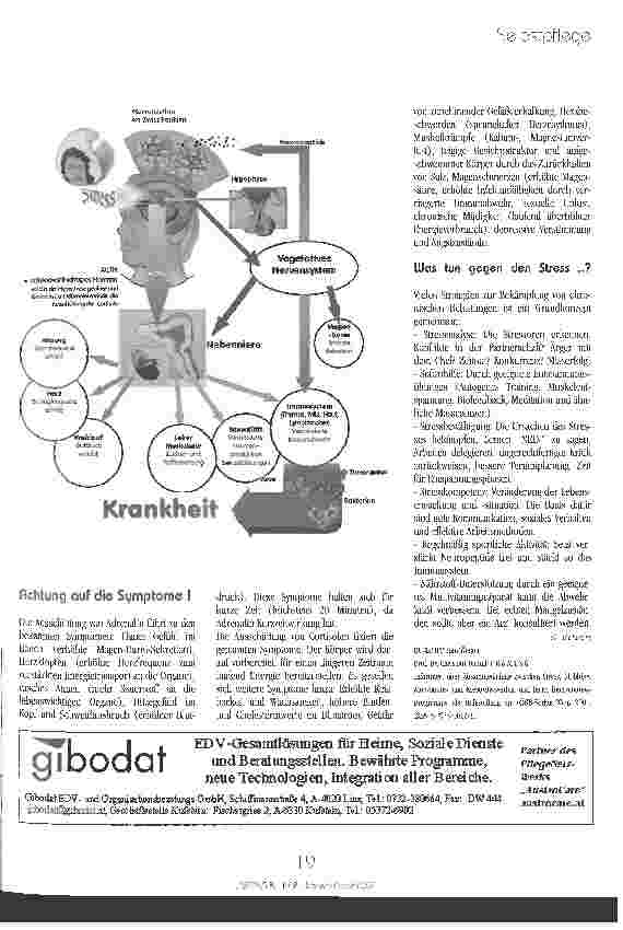 Vorschauseite 2: Stress Immer mehr, immer schneller ...