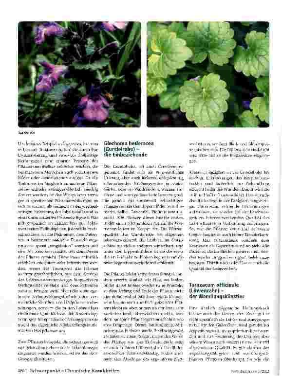 Vorschauseite 3: Kranksein verstehen