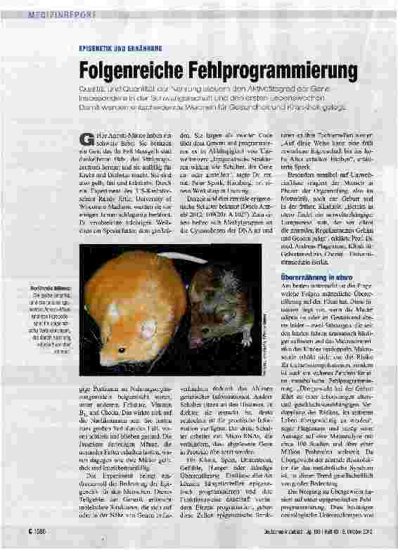 Vorschauseite 1: Folgenreiche Fehlprogrammierung