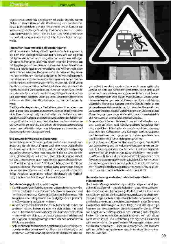Vorschauseite 2: Indirekte Steuerung und Interessierte Selbstgefährdung