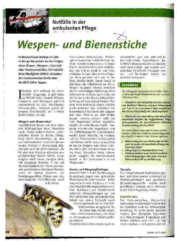 Vorschauseite 1: Wespenund Bienenstiche