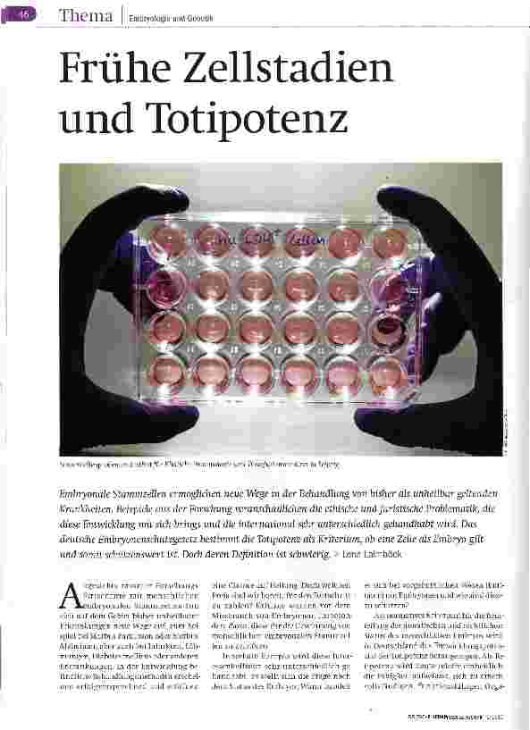 Vorschauseite 1: Frühe Zellstadien und Totipotenz