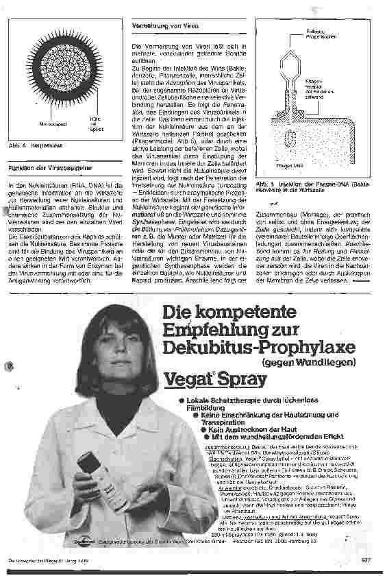 Vorschauseite 2: Grundlagen der Mikrobiologie 11. Folge - Viren (I)
