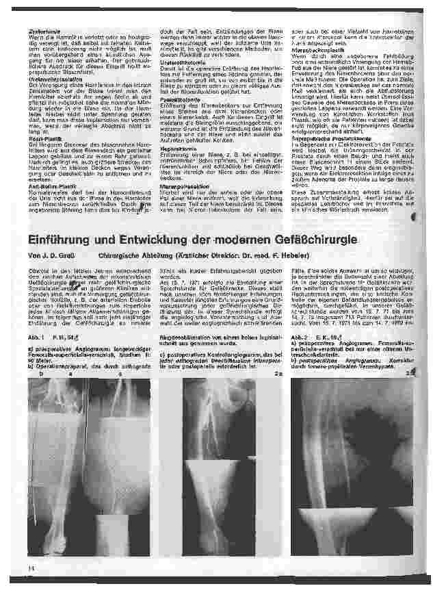 Vorschauseite 6: Das Kurhessische Diakoniehaus in Kassel Die Struktur des Krankenhauses