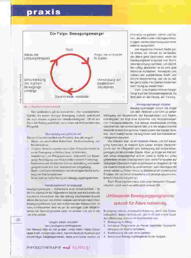 Vorschauseite 2: STUrzprophylaxe durch Bewegung und Spaß StuBS Handlungsfeld der Physiotherapie