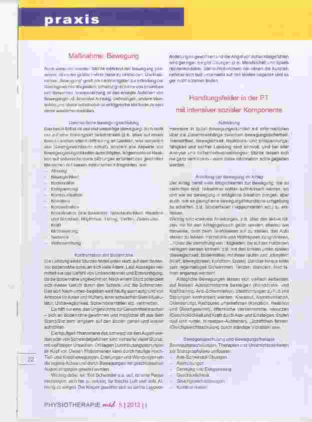 Vorschauseite 4: STUrzprophylaxe durch Bewegung und Spaß StuBS Handlungsfeld der Physiotherapie