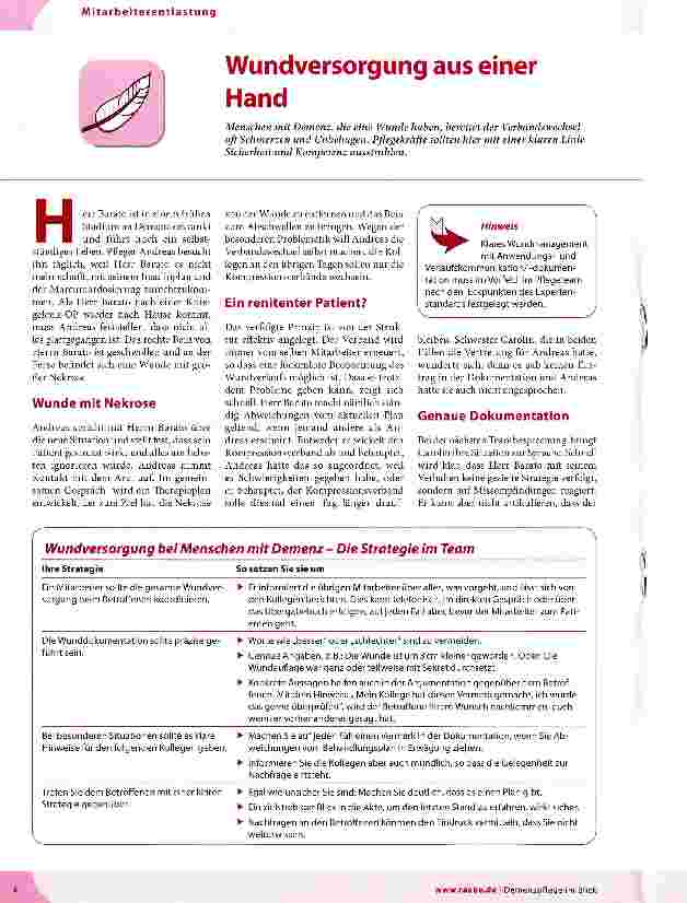 Vorschauseite 1: Wundversorgung aus einer Hand