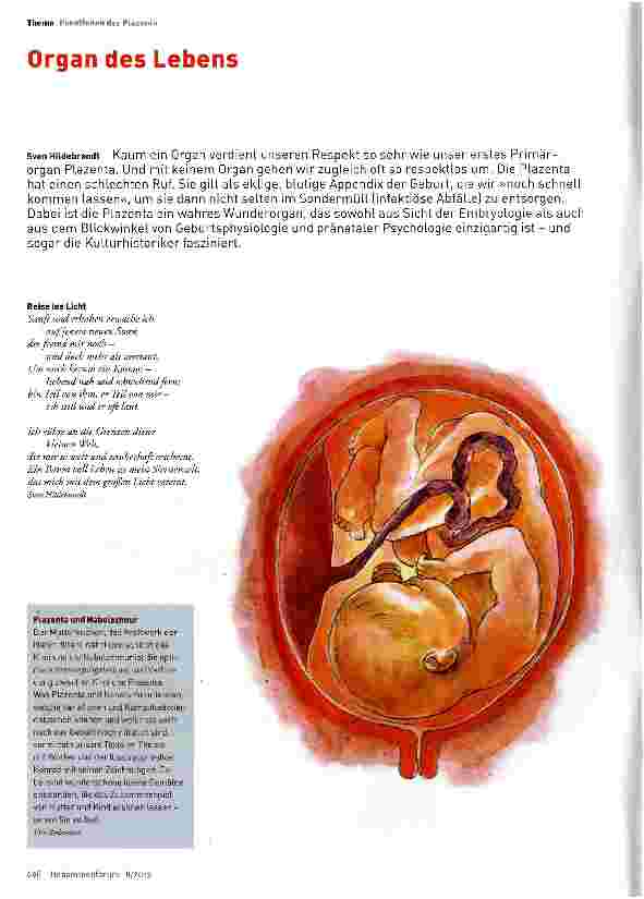 Vorschauseite 1: Organ des Lebens