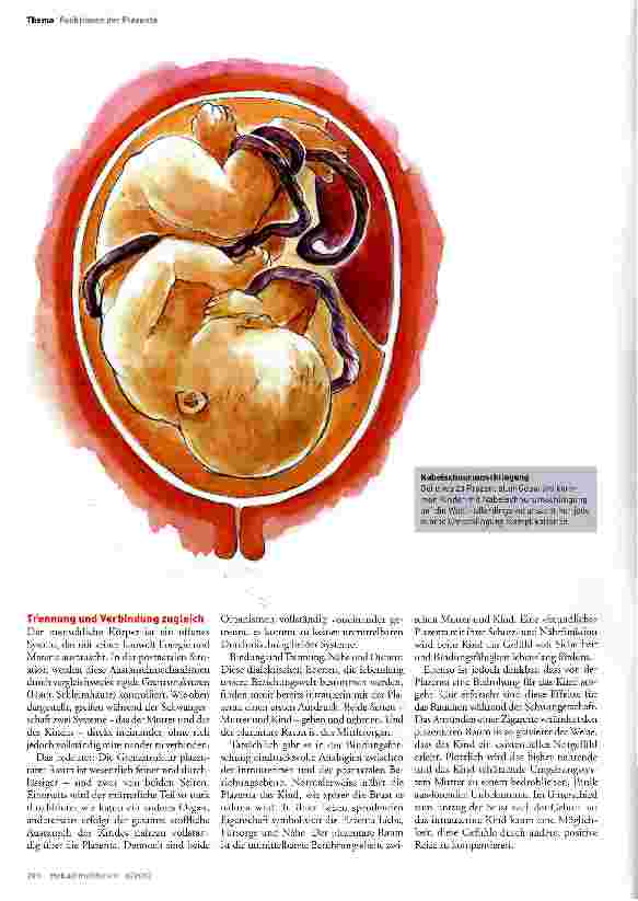 Vorschauseite 3: Organ des Lebens