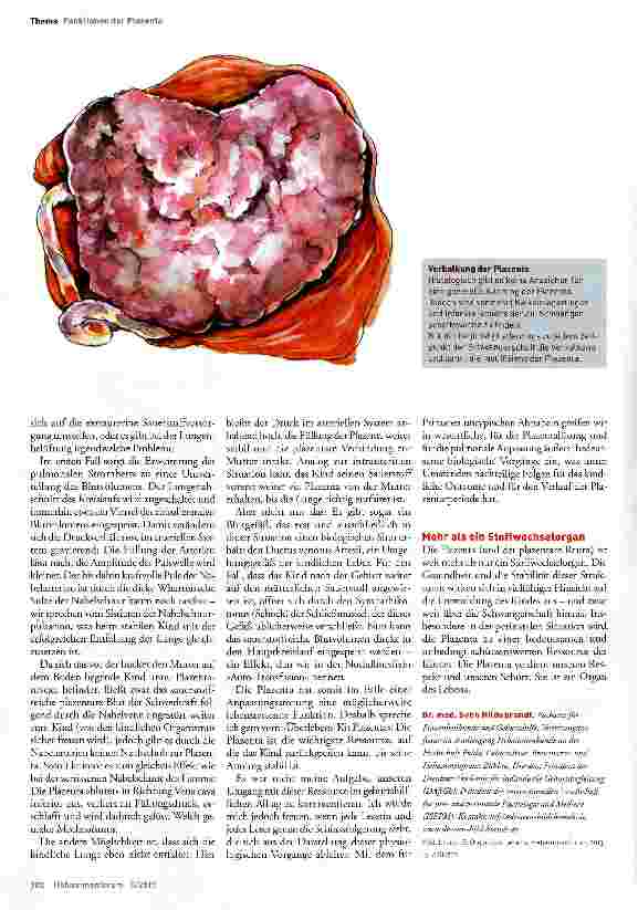 Vorschauseite 5: Organ des Lebens