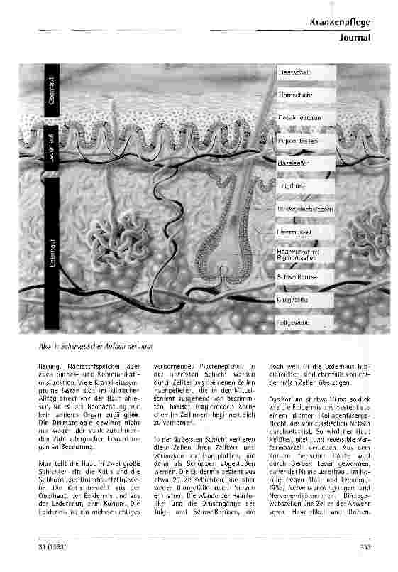 Vorschauseite 2: Dekubitus - nicht notwendig!