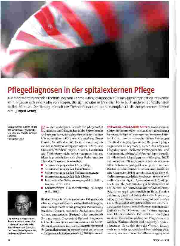 Vorschauseite 1: Pflegediagnosen in der spitalexternen Pflege