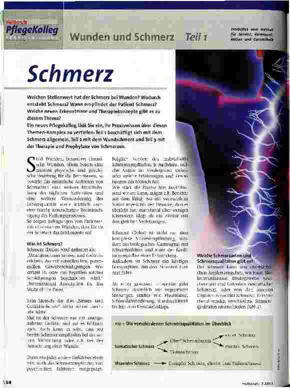 Vorschauseite 1: Schmerz Teil 1