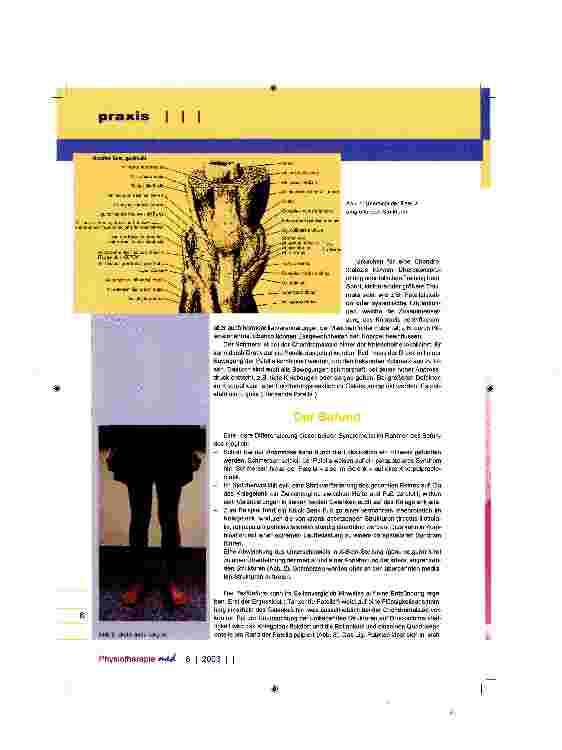 Vorschauseite 2: Patellare Schmerzsyndrome